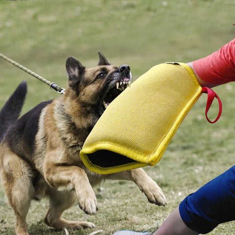 Dog Training Bite Sleeves Pet Tugs Toy Arm Protection Sleeve
