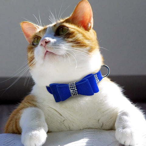Bling Rhinestone Puppy Cat Collars Adjustable Leather Bowknot Kitten Collar