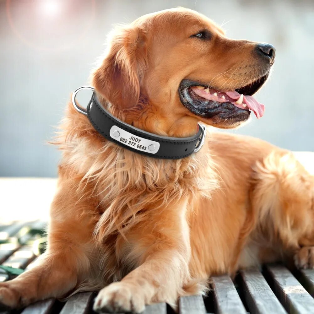 Custome Engraved Pet Dog Collar PU Leather Personalized Dogs Cat ID Collars Free Nameplate