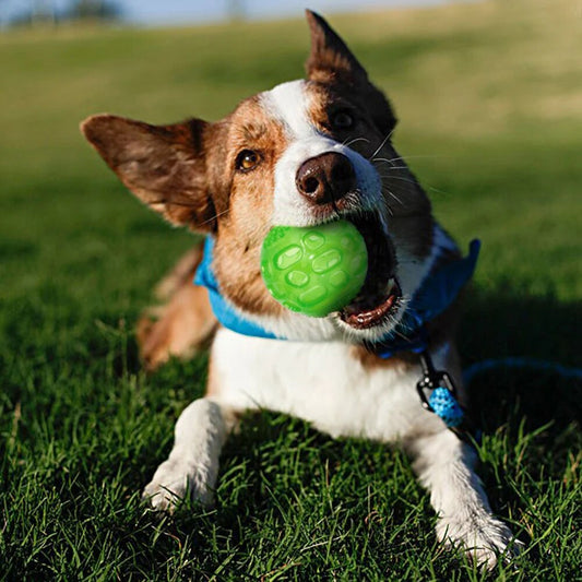 Durable Dog Toys Interactive Cotton Rope Pet Puppy Dog Toy Chew Ball Squeaky Bite Resistant Toys