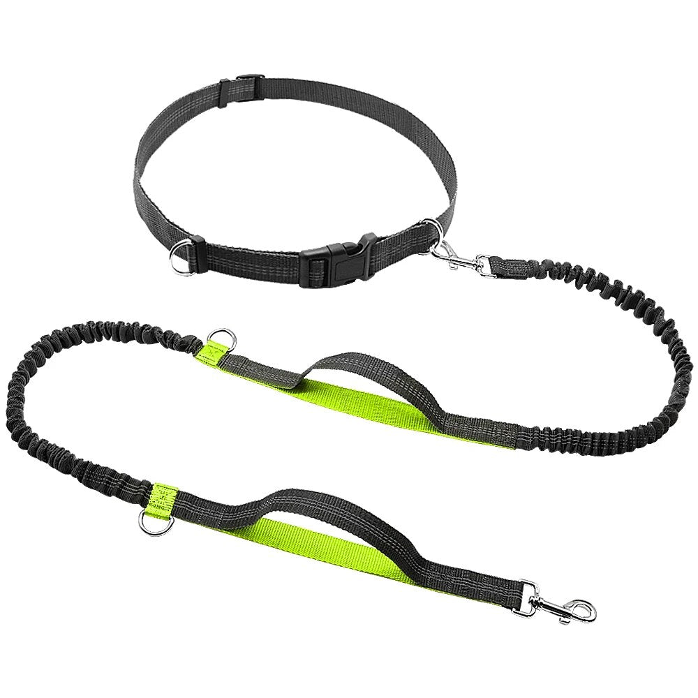 Hands Free Dog Leash Retractable Bungee Leash Lead Reflective For Running Walking Up to 150 lbs Large Dogs
