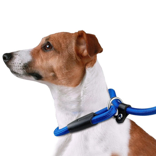 Nylon Dog Leash Pet Puppy Walking Training Dog Lead Belt Strap Collar