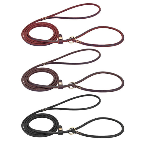 Dog Leash Leather Pet Walking Training Collar Leashes P Chain Collar