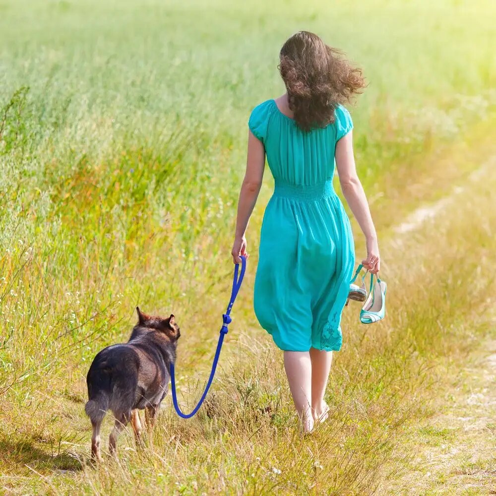 Seude Leather Dog Leash Rope Small Medium Dogs Walking Lead Leashes Strap