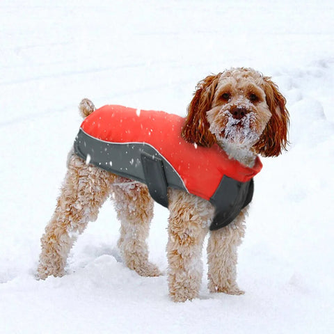 Waterproof Dog Winter Coat Warm Puppy Jacket Vest Pet Clothes Apparel Dog Clothing