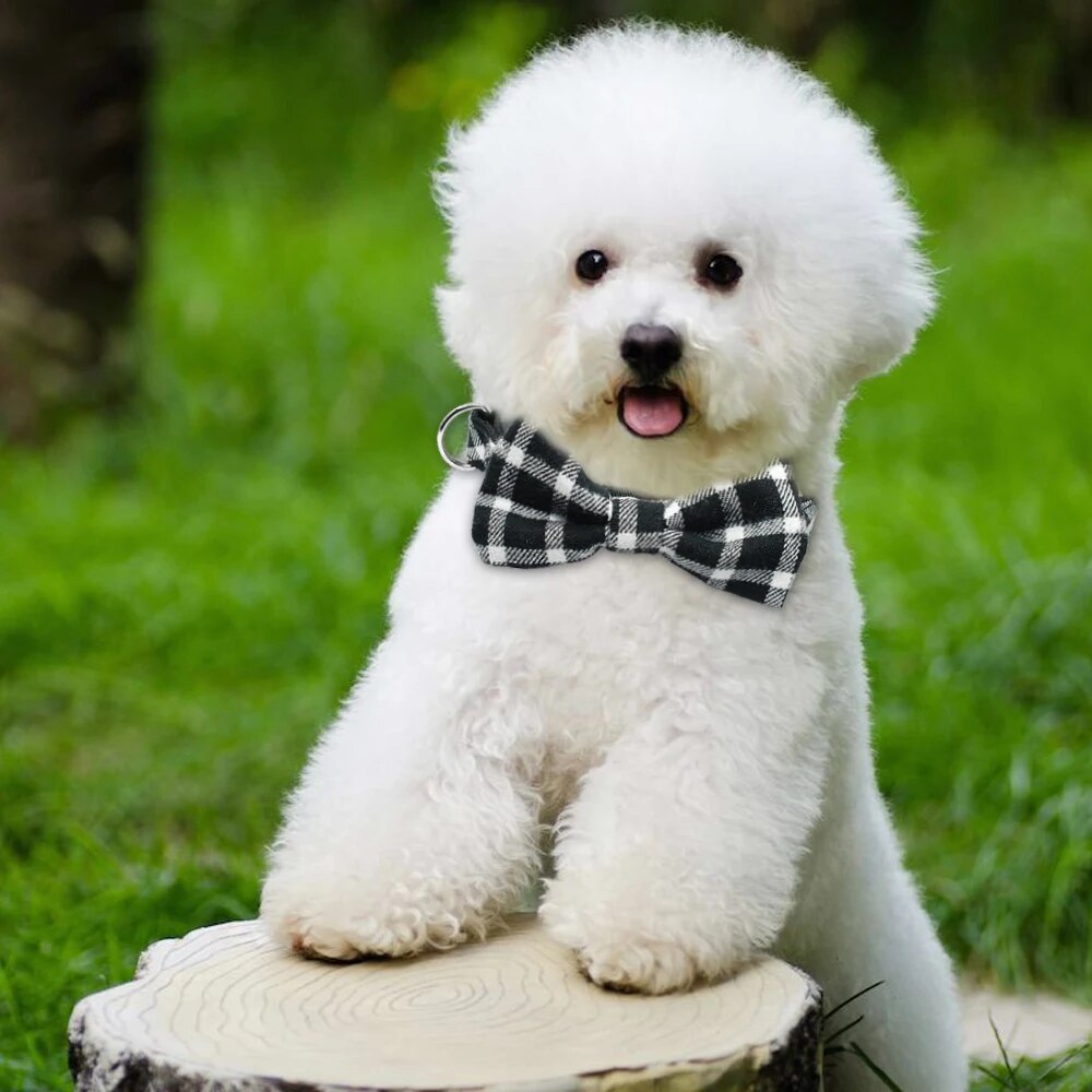 Fashion Bowtie Puppy Dog Collar Gentleman Bowknot Kitten Cat Collars