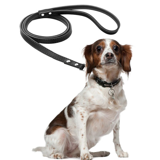 5 Colors Leather Dog Leash Long Rope Pet Puppy Cat Walking Training Leashes