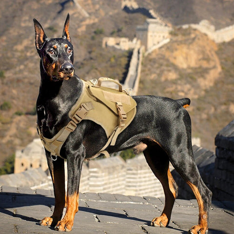 Military Tactical Dog Harness Vest Dog Training Hunting Molle Vest