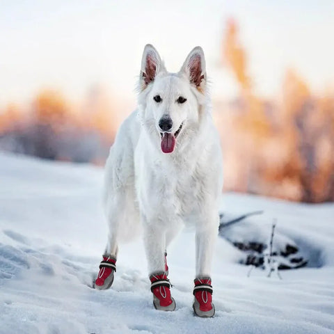 4pcs/set Warm Dog Shoes Waterproof Anti-Slip Rain Snow Boots Warm Reflective Booties Socks