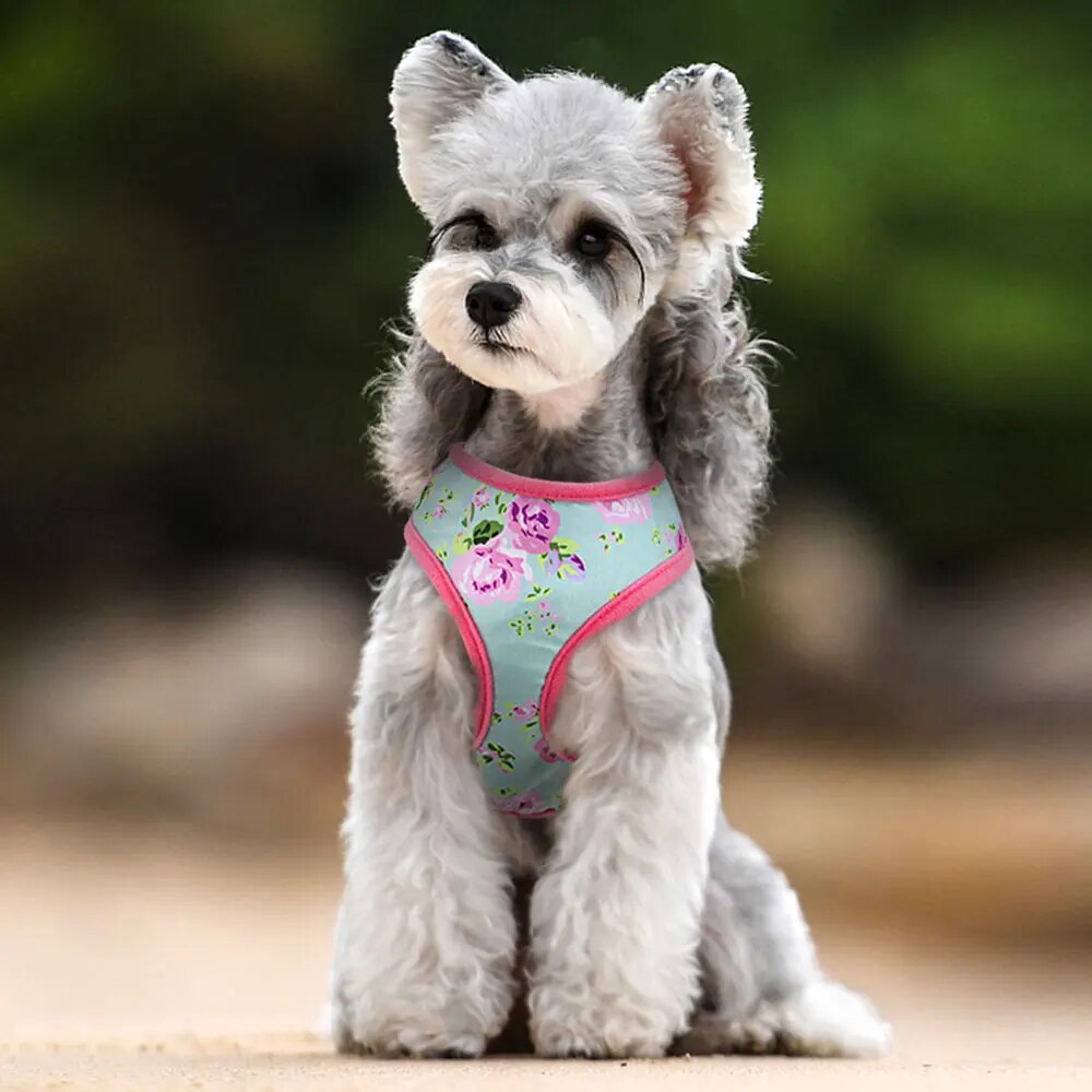 Breathable French Bulldog Pug Harness Nylon Adjustable Dog Chihuahua Harness
