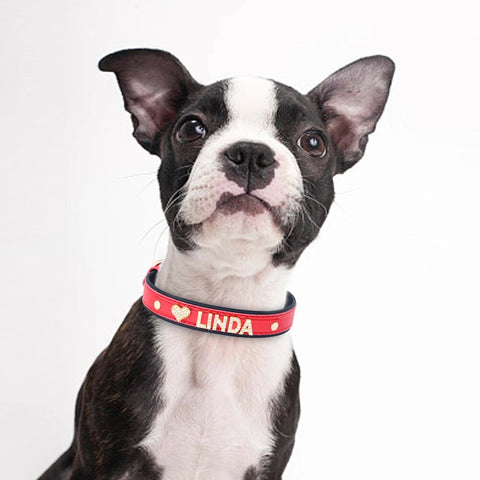 Personalized Small Dog Cat Collar DIY Rhinestone Bling Charm Pet Collars