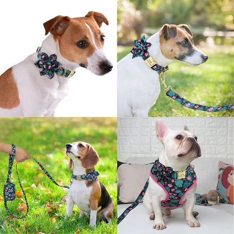 4pcs/lot Nylon Printed French Bulldog Chihuahua Collar Harness Leash Set