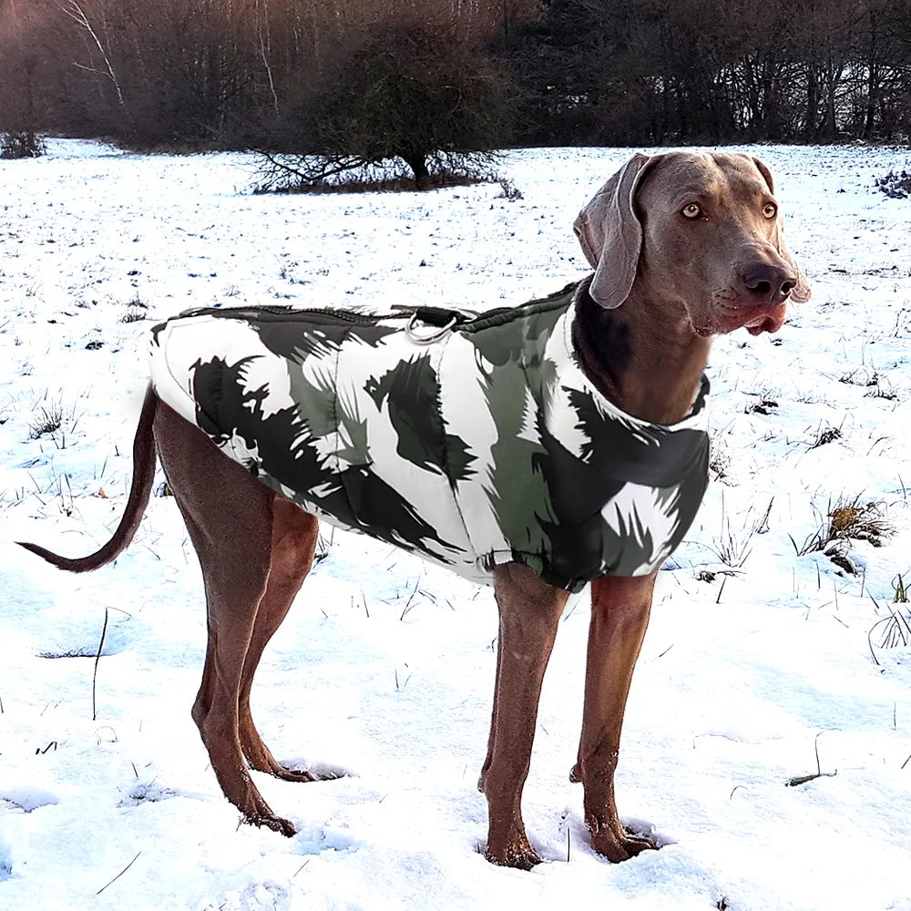 Winter Pet Dog Clothes French Bulldog Pet Warm Jacket Coat Waterproof Dog Clothing
