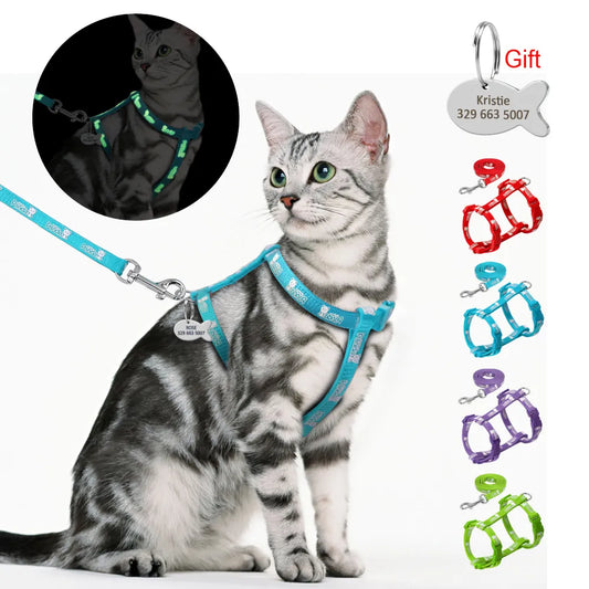 Personalized Cat Dog Harness Vest Walking Lead Leash For Kitten Puppy Custom