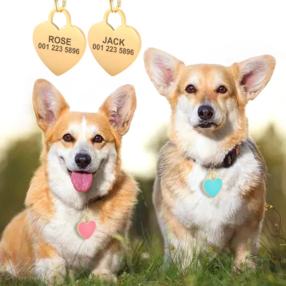 Free Engraved Cat Dog ID Tags Custom Personalized Dog Collar Pet Charm Name Pendant
