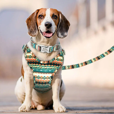 3pcs/lot Dog Collar Leash Harness Set Personalized Dog ID Collars