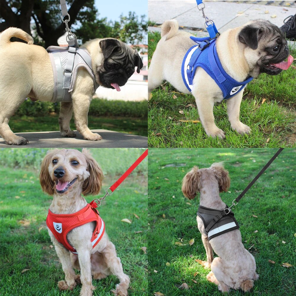 Breathable Mesh Dog Harness Nylon No Pull Pet Collars Vest