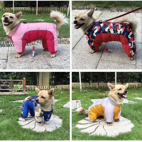 Pet Dog Dog Clothes Winter Clothes Thick Warm Down Cotton Clothes