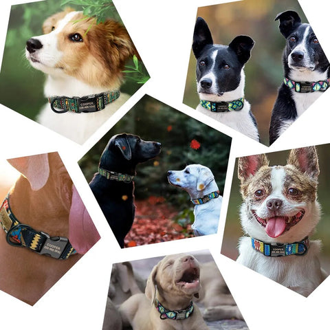 Personalized Dog Collar Nylon Dog Buckle Collars Printed Plaid Pet ID Collars