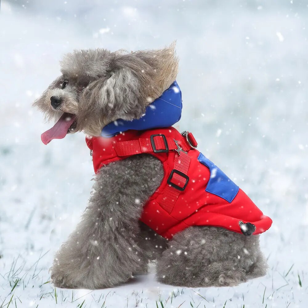Thick Winter Dog Coat Clothes Super Warm Dogs Jacket With Fur Hat Small Medium Dogs Pet Clothing