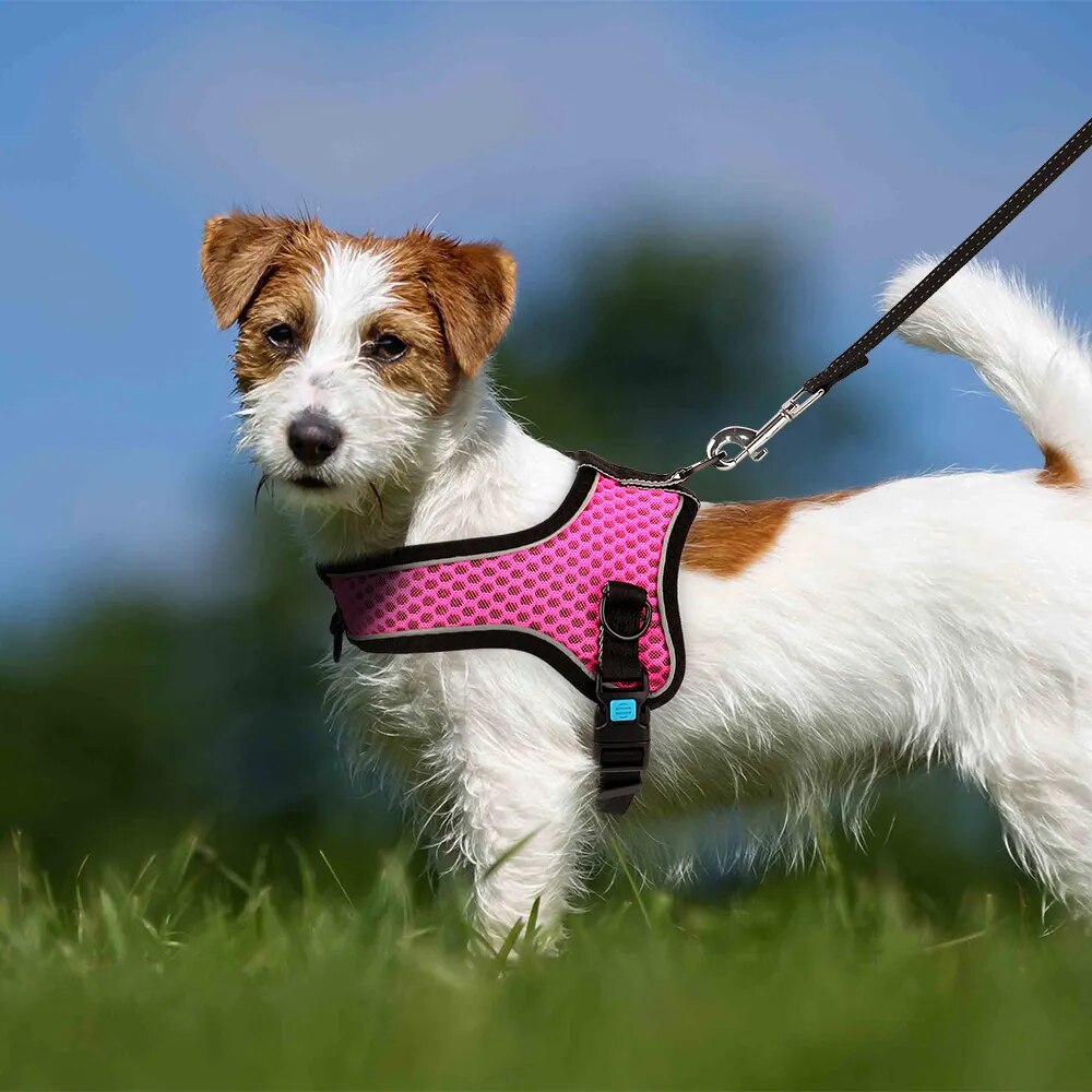 Mesh Nylon Dog Harness Reflective Pet Dog Vest Harness Pet Training Harness
