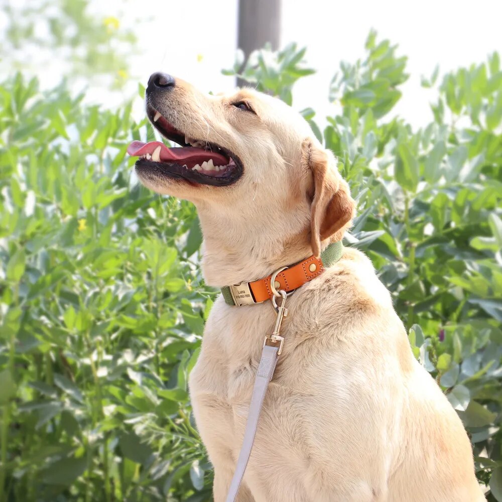 Nylon Adjustable Custom Dog Puppy Collar Personalized Genuine Leather Pet Dog Nameplate ID Tag