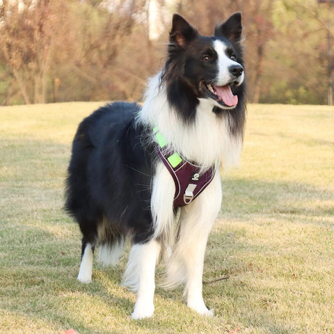Nylon Big Dog Harness No Pull Reflective Pet Harness Vest For Medium Large Dogs