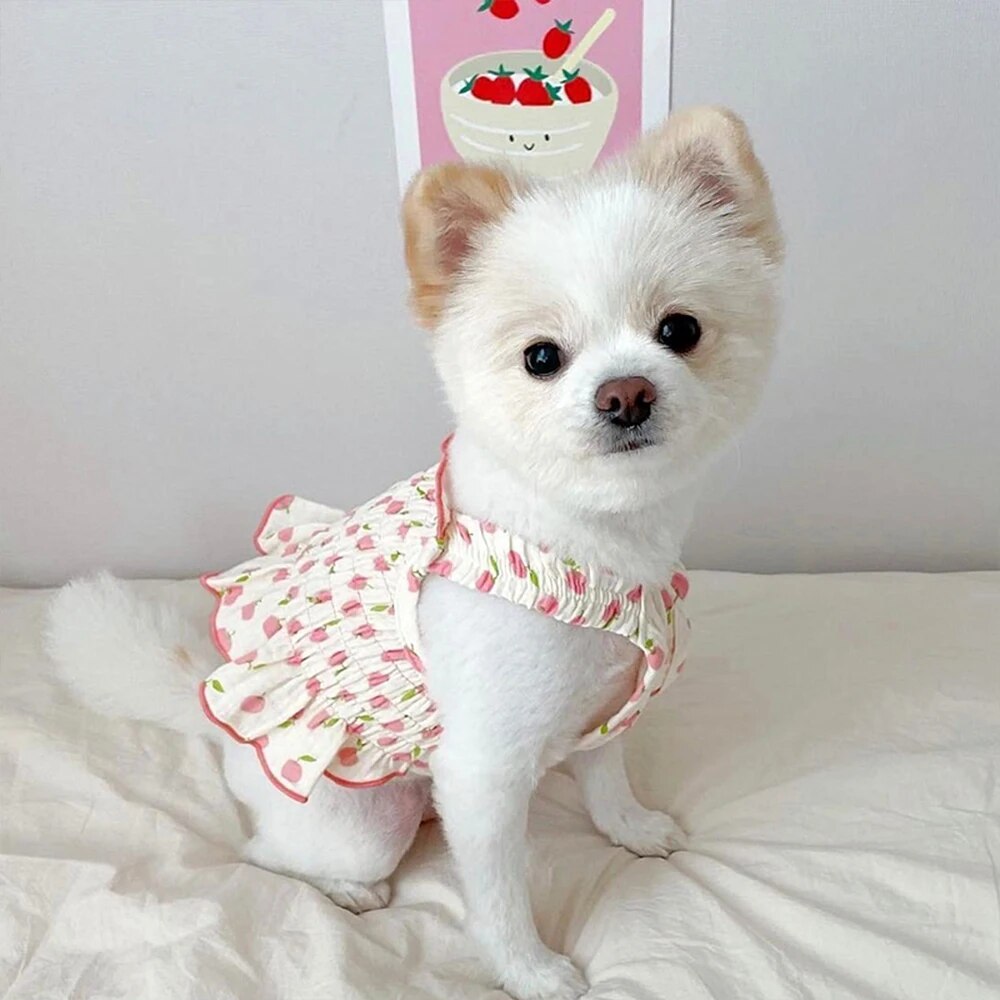 Dog Princess Dress Sweet Pet Dog Clothes Cat Print Skirt Clothing