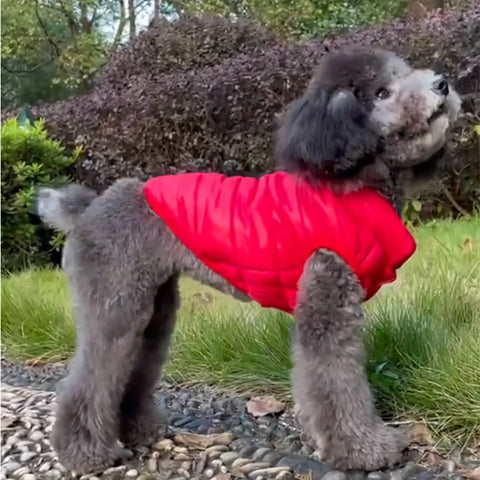 Warm Pet Dog Vest Clothes Chihuahua Pug Clothing Dogs Jacket Autumn Winter Dog Coat Clothes