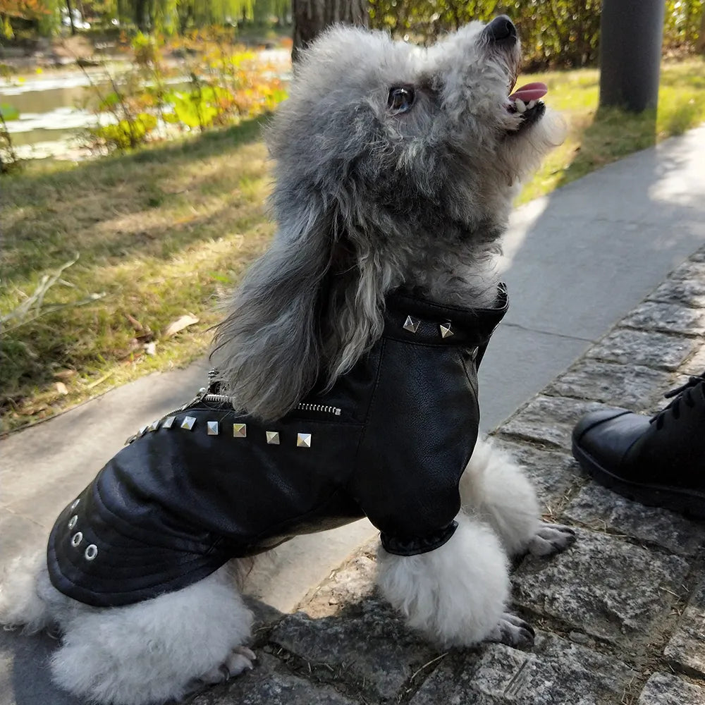 Cool Dog Jacket French Bulldog Puppy Dog Clothes Pet Coat Chihuahua Pug Pets Dogs Clothing
