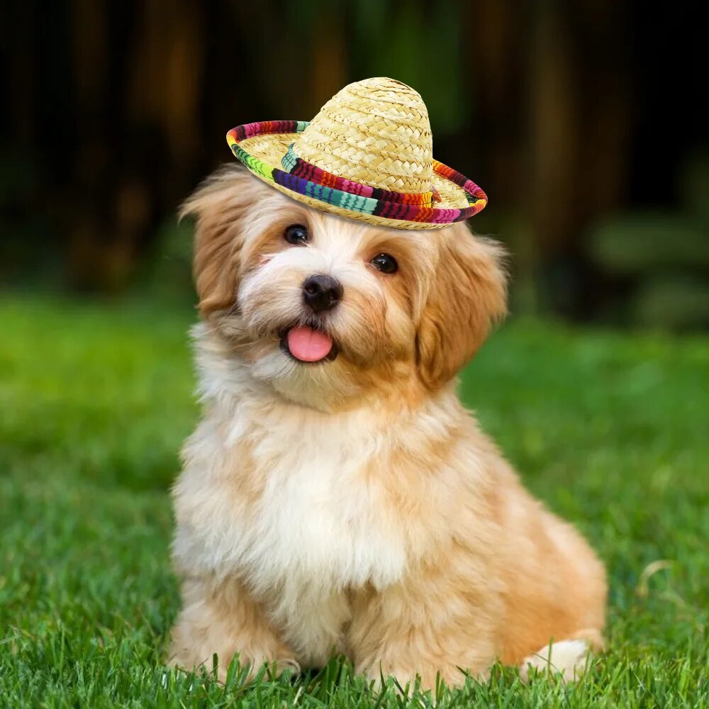 Dog Hat Pet Accessories Sunglasses Set Cute Puppy Kitten Grooming Pets Supplies Summer Outdoor Hats