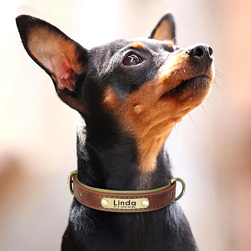 Custom PU Leather Small Medium Large Dog Collars Personalized Puppy Cat Nameplate Collar
