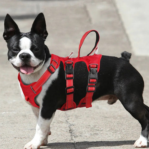 Reflective Dog Harness Vest Mesh Nylon Pet Vest No Pull Adjustable Harness