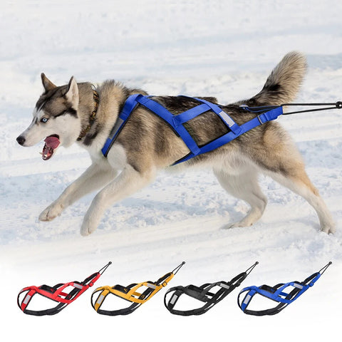 Dog Sledding Harness Reflective Pet Sledding Skijoring Harness Waterproof Big Large Dogs