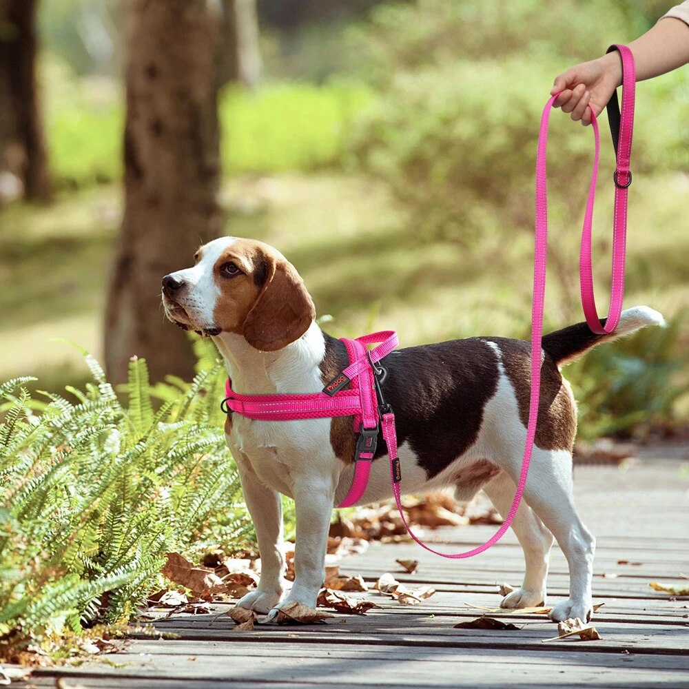 Nylon Dog Leash Soft Reflective Pet Dog Lead For Small Medium Large Dogs