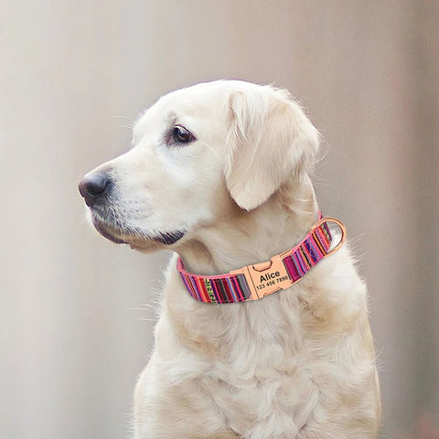 Personalized Dog Collar Customized Nylon Pet Buckle Collar Anti-lost Nameplate ID Tag