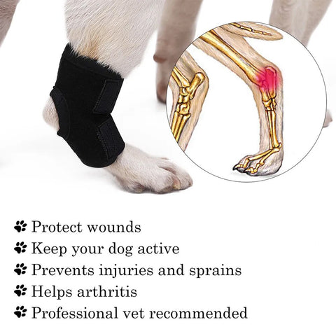 1 Pcs Pet Puppy Knee Pads Breathable Dog Support Brace Injury Recover Dog Hock Legs Protector Joint Wrap