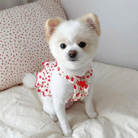 Dog Princess Dress Sweet Pet Dog Clothes Cat Print Skirt Clothing