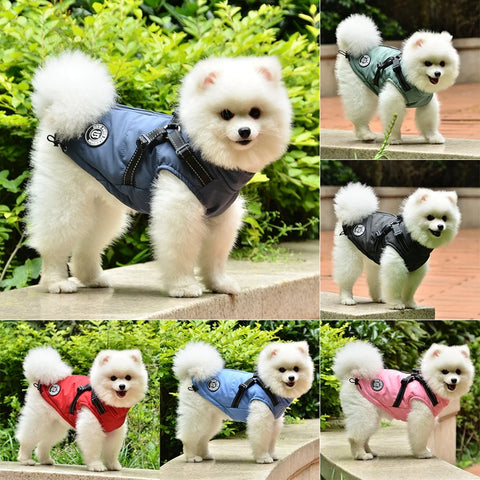 Winter Warm Dog Clothes for Small Medium Large Pet Dog Jacket With Harness